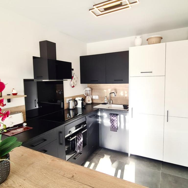 Les Aiguilles - Appartement avec terrasse et vue montagne - Appartement 1 Chambre - 6