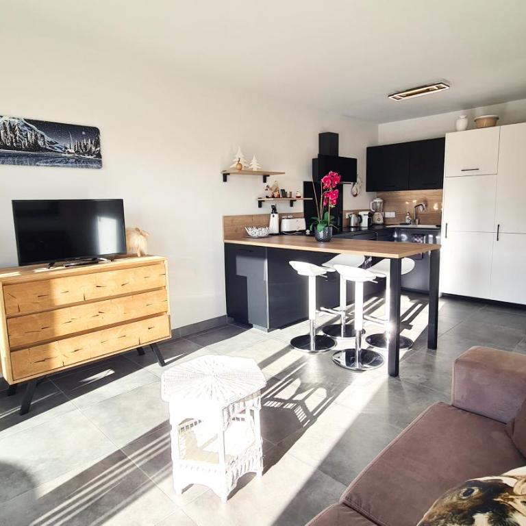 Les Aiguilles - Appartement avec terrasse et vue montagne - Appartement 1 Chambre - 14