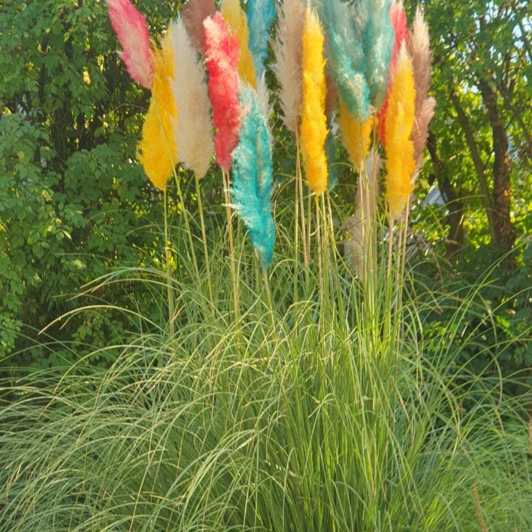 Le calme en soie - Chambre Double - Vue sur Jardin - 10