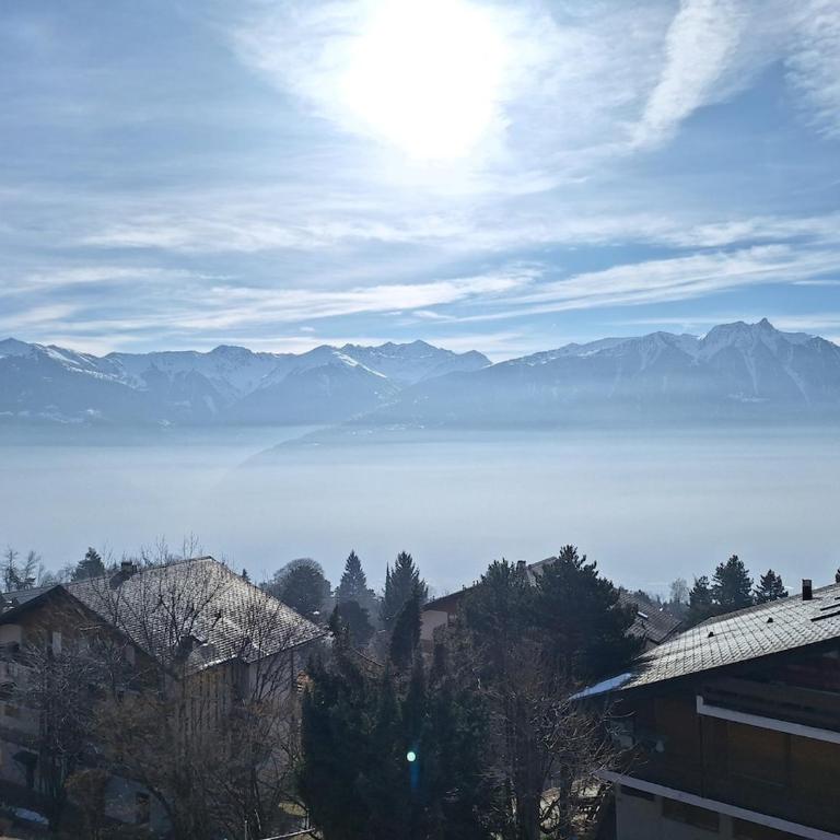 Charming apartment with great view - Apartment mit 1 Schlafzimmer - 1
