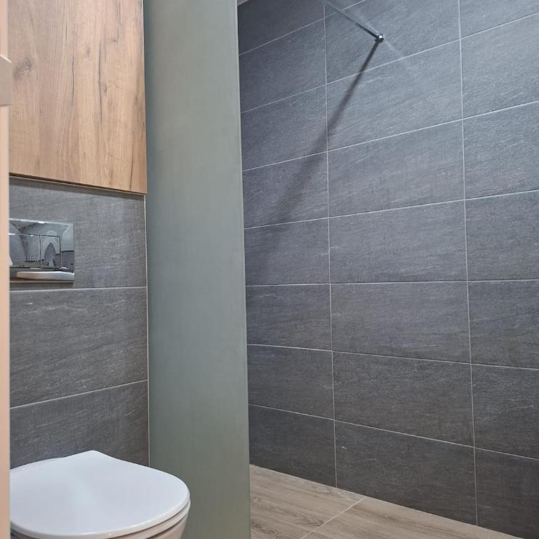 Kopaonik, Studio Apartment K17 - Appartement 2 Chambres - 5