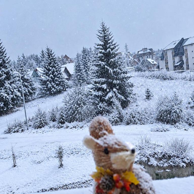 Kopaonik, Studio Apartment K17 - Appartement 2 Chambres - 10