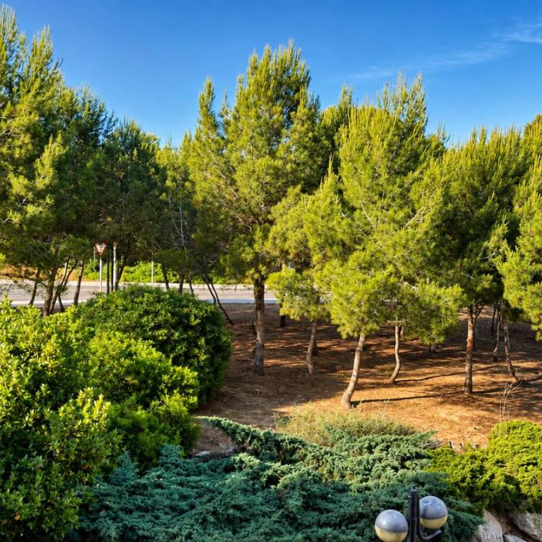 Cap Salou Binda Mar Apartment - Appartement 1 Chambre - 28
