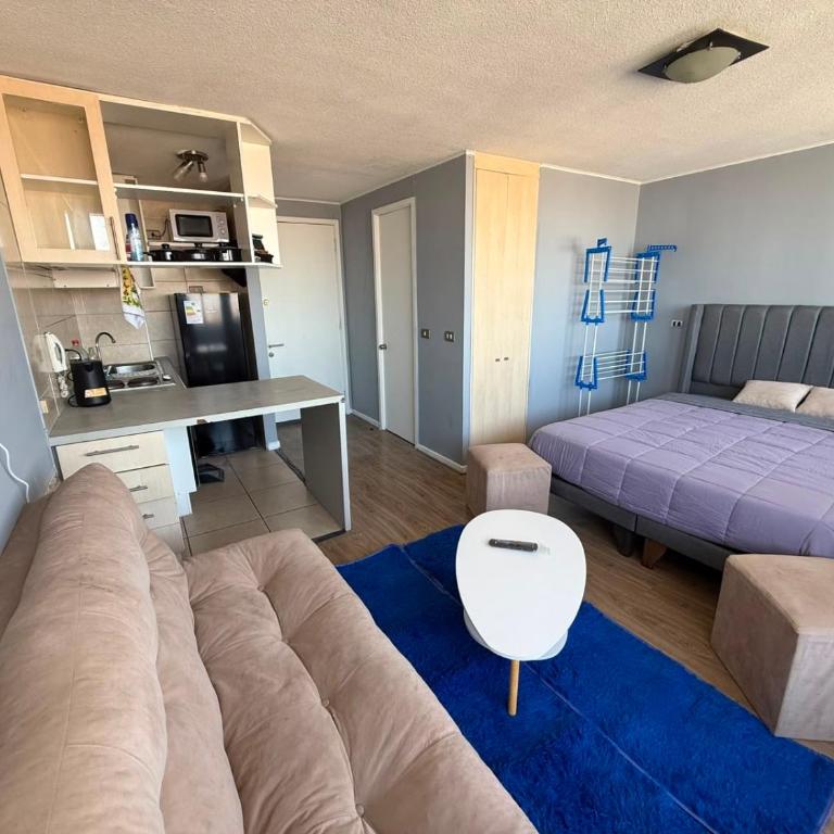 Hermosa vista - One-Bedroom Apartment - 4
