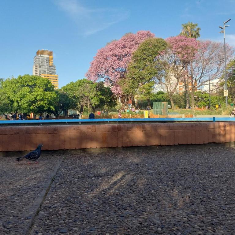 Palermo Top-Floor 1BR Apartment Luxurious & Safe - Apartamento Ático - 16