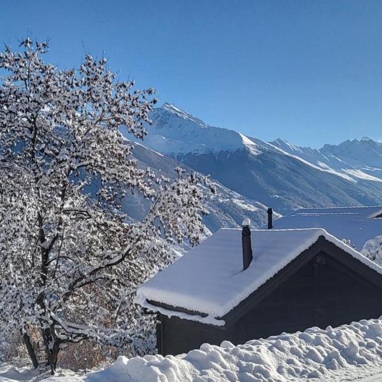Chalet de charme et grand confort avec jacuzzi, sauna et vues exceptionnelles - Chalet - 1