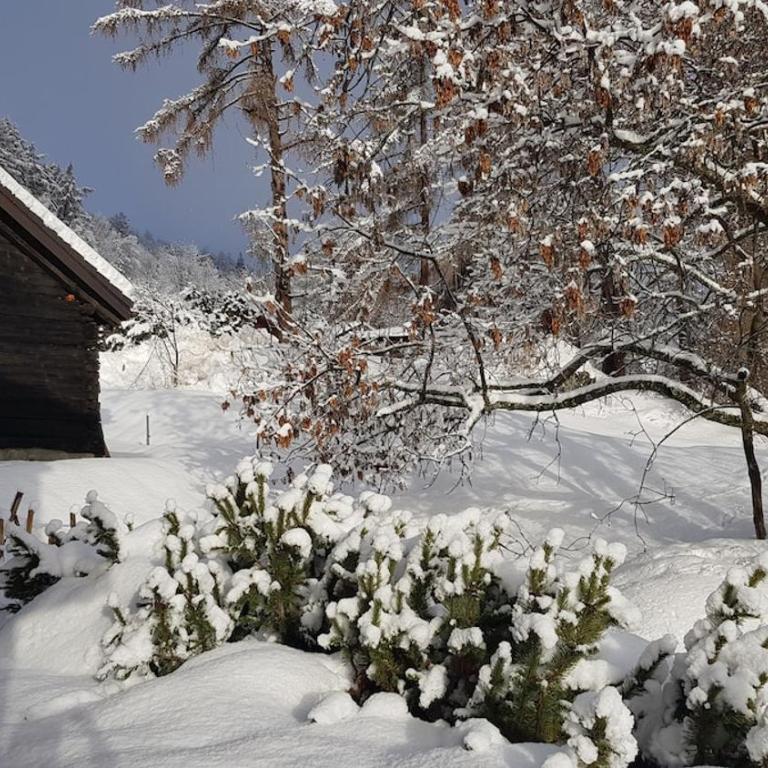 Chalet de charme et grand confort avec jacuzzi, sauna et vues exceptionnelles - Chalet - 30