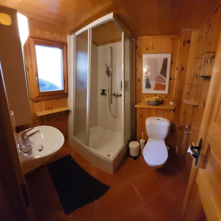 Chalet de charme et grand confort avec jacuzzi, sauna et vues exceptionnelles - Chalet - 66
