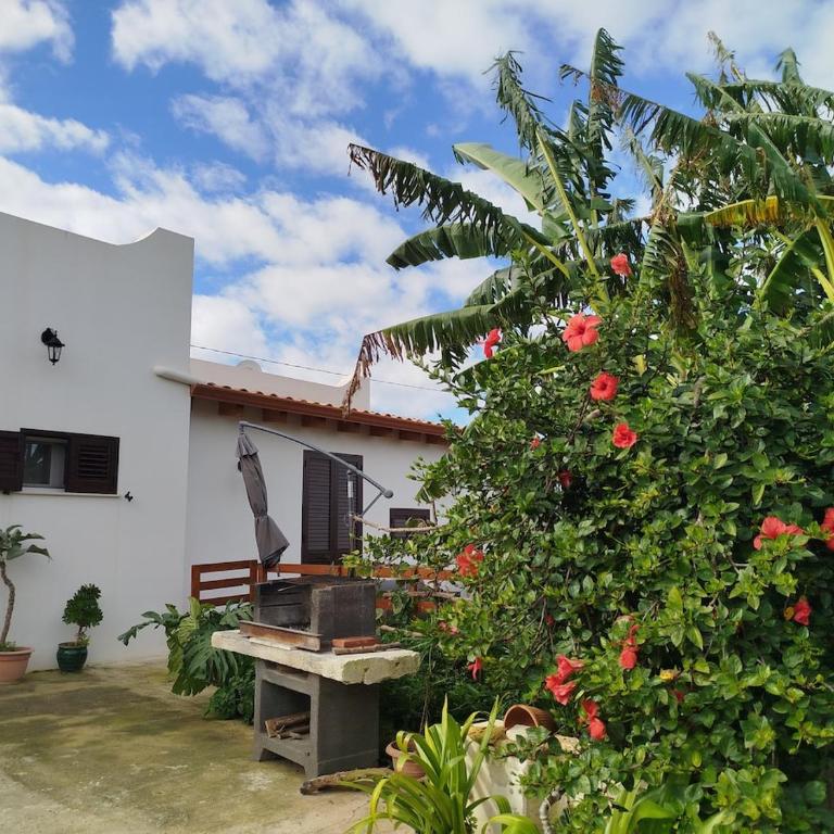 Urlaub auf dem Bauernhof - Casa Sa Bella - Appartamento con 1 Camera da Letto - 21
