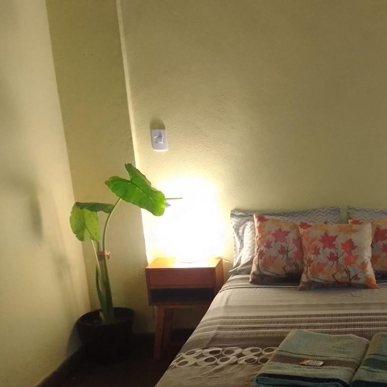 Departamento Monoambiente-Selva Stay Iguazu - One-Bedroom Apartment - 2