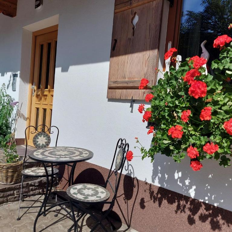Gartenwohnung Ritter - Apartamento de 2 dormitorios - 23