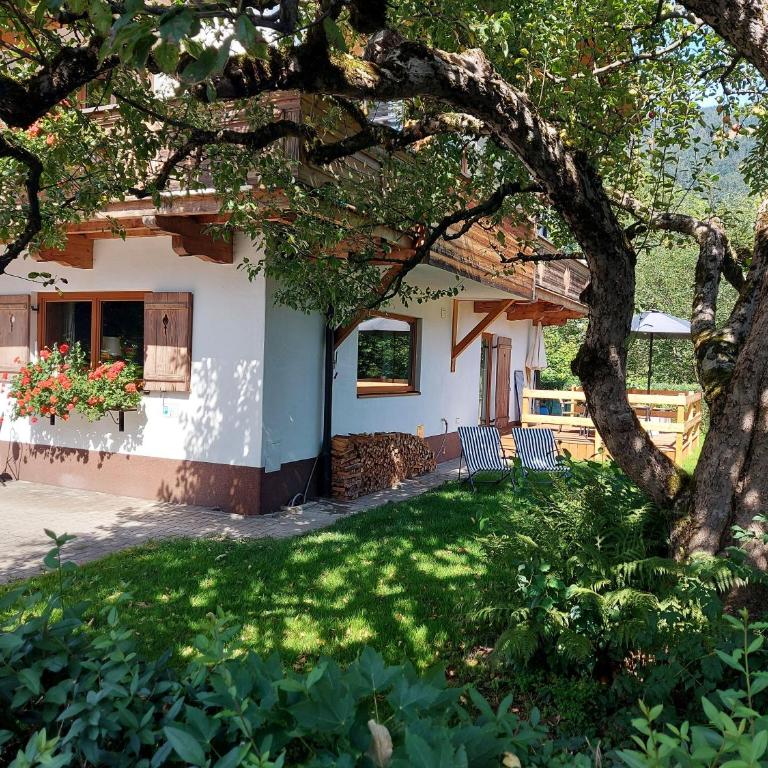 Gartenwohnung Ritter - Apartamento de 2 dormitorios - 1