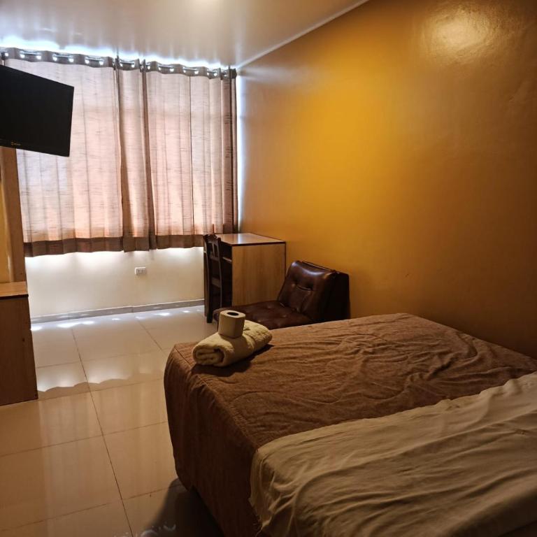 Hotel Palace - Single Room - 4