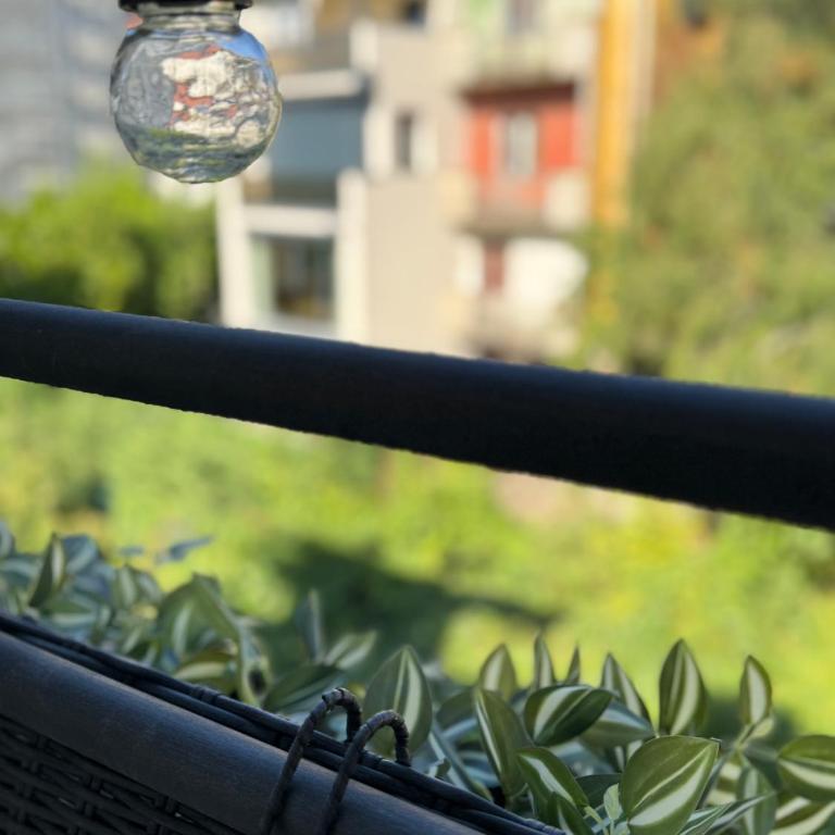 Apartman Milunka - Apartman sa 1 Spavaćom Sobom - 23