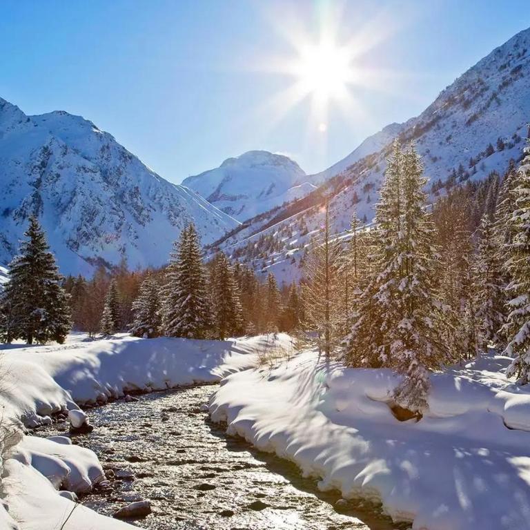 Chalet Alouette - Chalet - 33