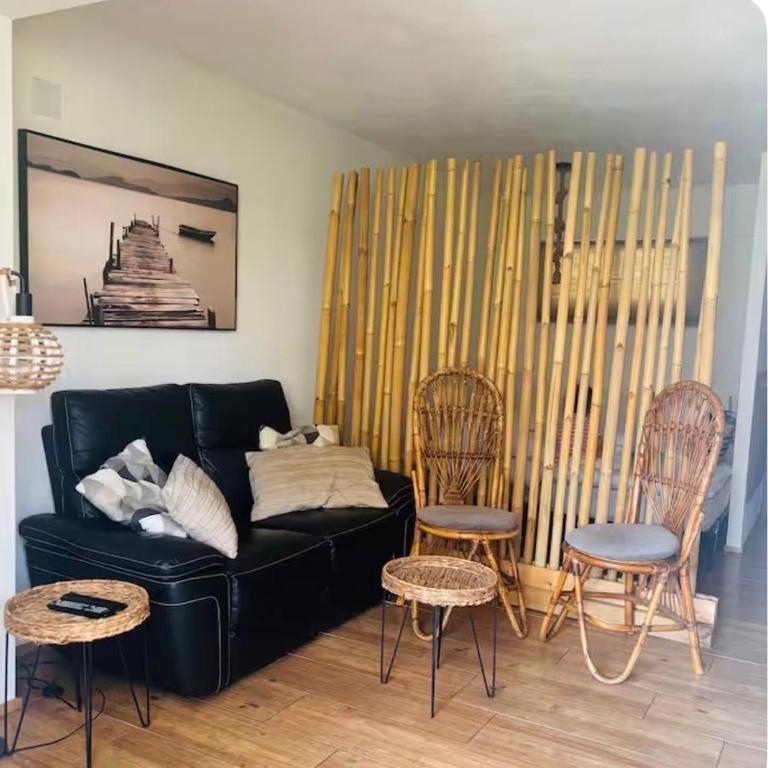 Kennedy - Appartement 1 Chambre - 3