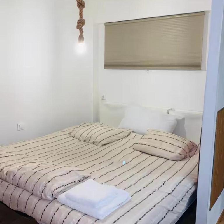 Kennedy - Appartement 1 Chambre - 10