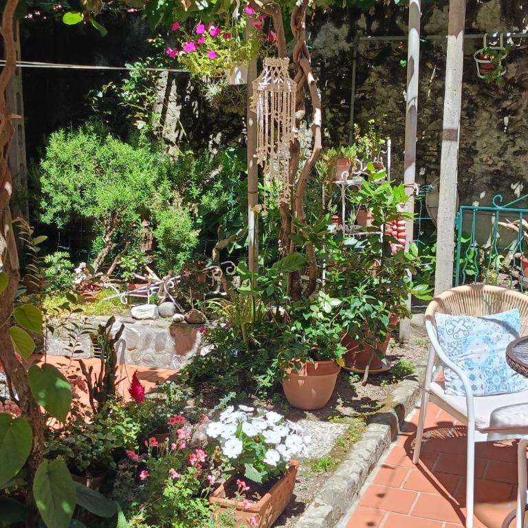 Un'oasi al Mare - Appartamento Deluxe con 2 Camere da Letto e Vista Giardino - 33