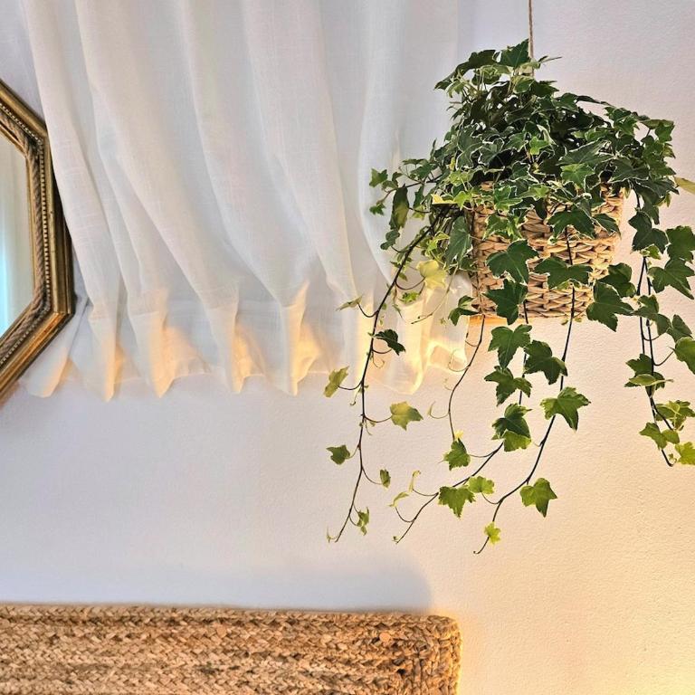 The fisherman's nest - Apartment mit 2 Schlafzimmern - 10