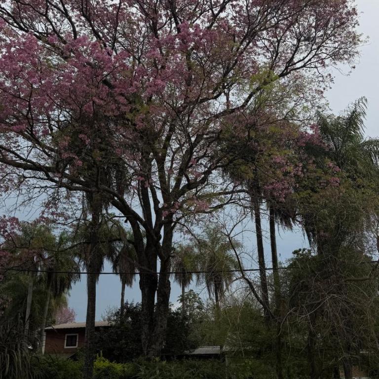 The lapachos - One-Bedroom House - 13