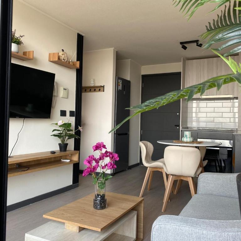 Full equipado, a pasos de clínica, mall, metro, WiFi, estacionamiento - Two-Bedroom Apartment - 9