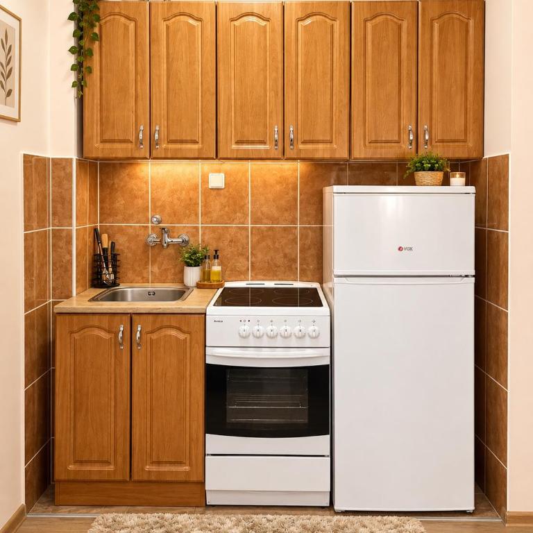 Zvezdica bulevar - Apartment mit 1 Schlafzimmer - 4