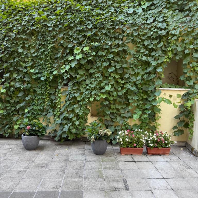 Apartman Milunka - Apartman sa 1 Spavaćom Sobom - 3
