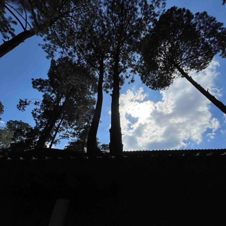 Alberca Techada Climatizada,Fogata, Billar - Four-Bedroom House - 20