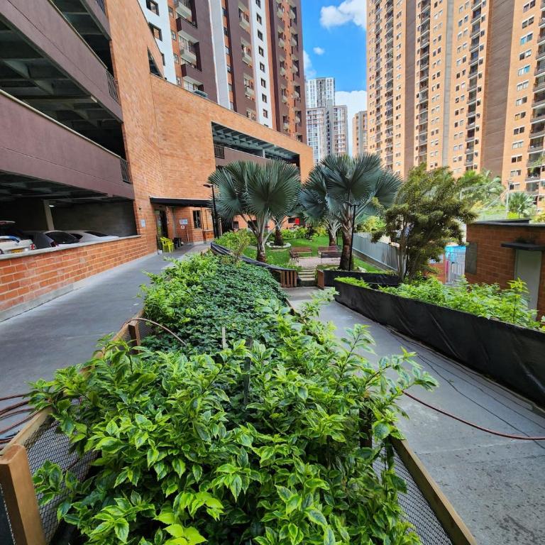 Medellín in the Clouds, Pool, Gym, Turkish Bath, Parking - Apartamento de 3 dormitorios - 28