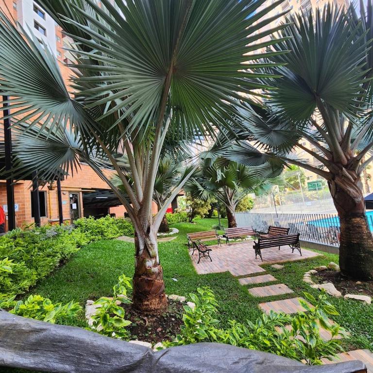 Medellín in the Clouds, Pool, Gym, Turkish Bath, Parking - Apartamento de 3 dormitorios - 41