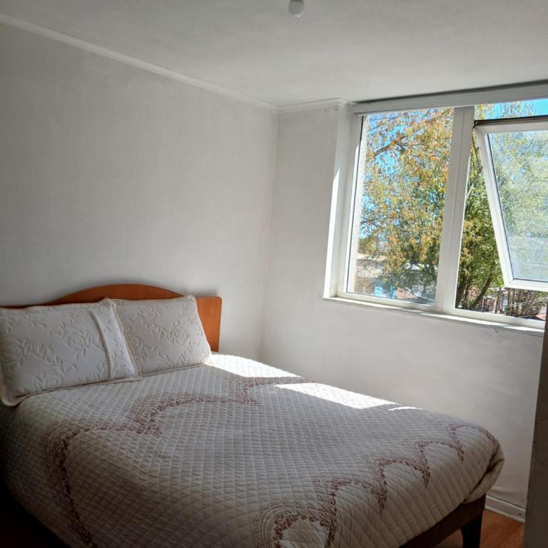 Edificio Vista Laguna Laguna tres pascualas Uss - Apartamento de 1 dormitorio - 3