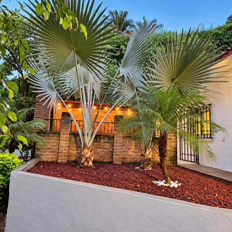 La Villa Palmier - Spacious 3BR Home - Quiet & Air-Conditioned - Villa con vistas al jardín - 32