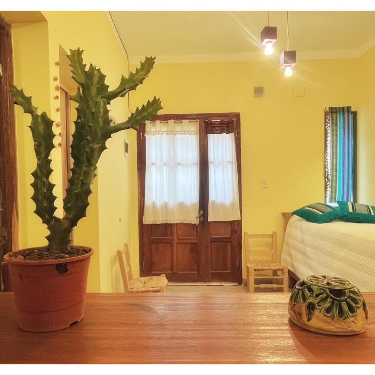 Kutimuy - Apartamento de 1 dormitorio - 6