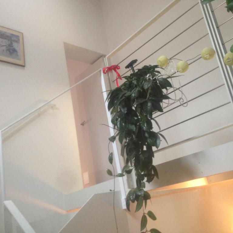 La Casina - Appartamentino su 2 Livelli - 25