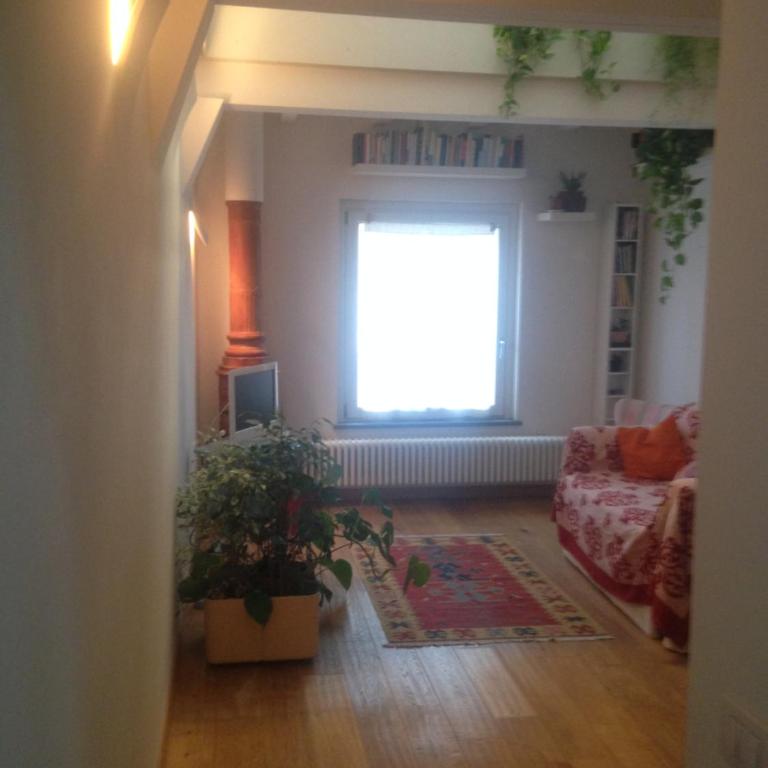 La Casina - Appartamentino su 2 Livelli - 27