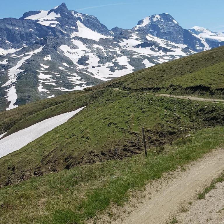 Ferienwohnung beim Aletschgletscher - Apartment mit 1 Schlafzimmer - 21