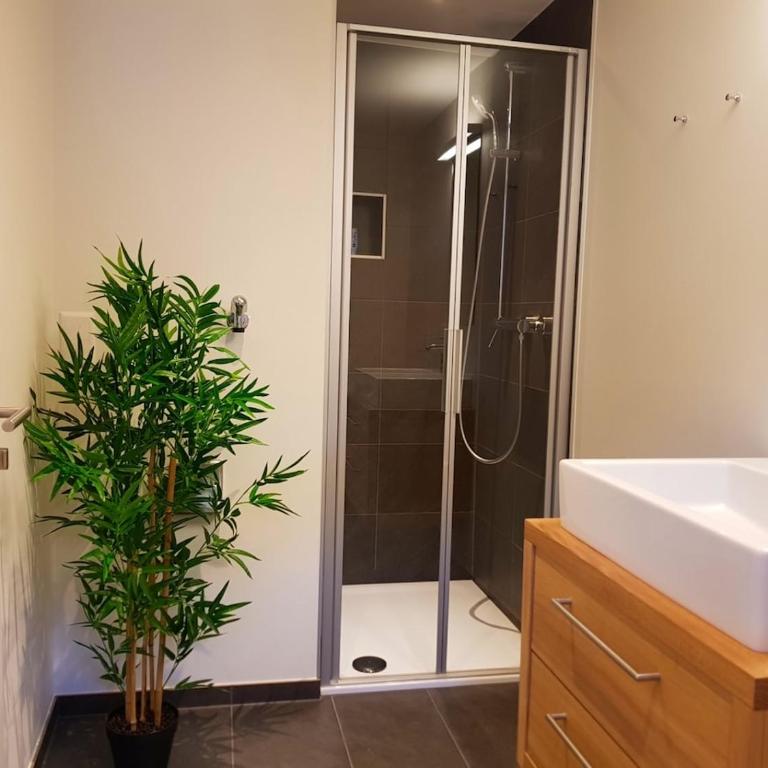 Ferienwohnung beim Aletschgletscher - Apartment mit 1 Schlafzimmer - 25