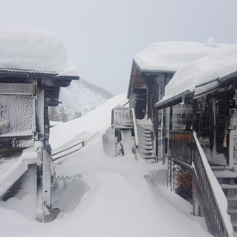 Ferienwohnung beim Aletschgletscher - Apartment mit 1 Schlafzimmer - 30