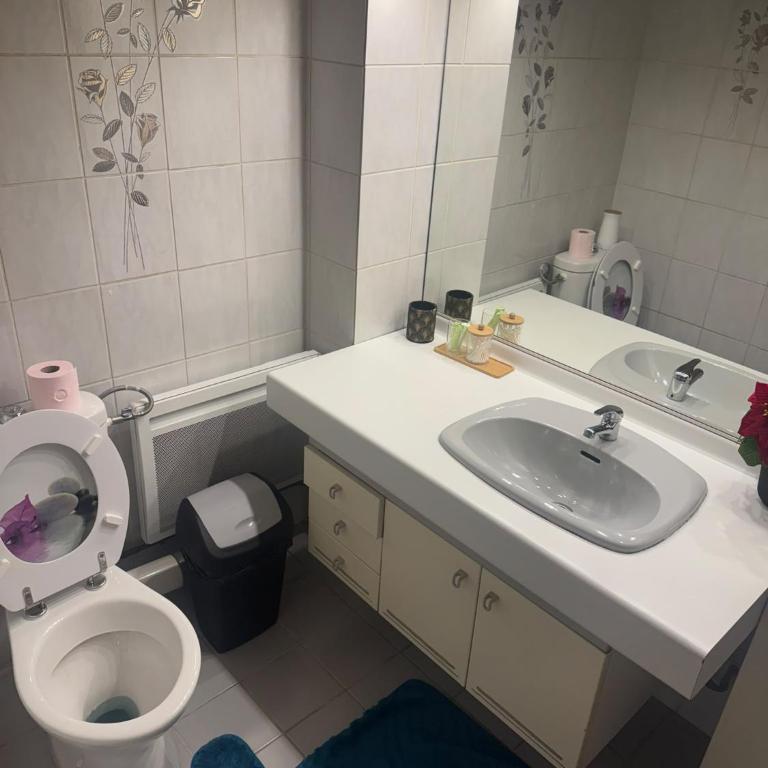 Appartement avec Terrasse & Parking Privé - Centre Thonon - Appartement 1 Chambre - 13