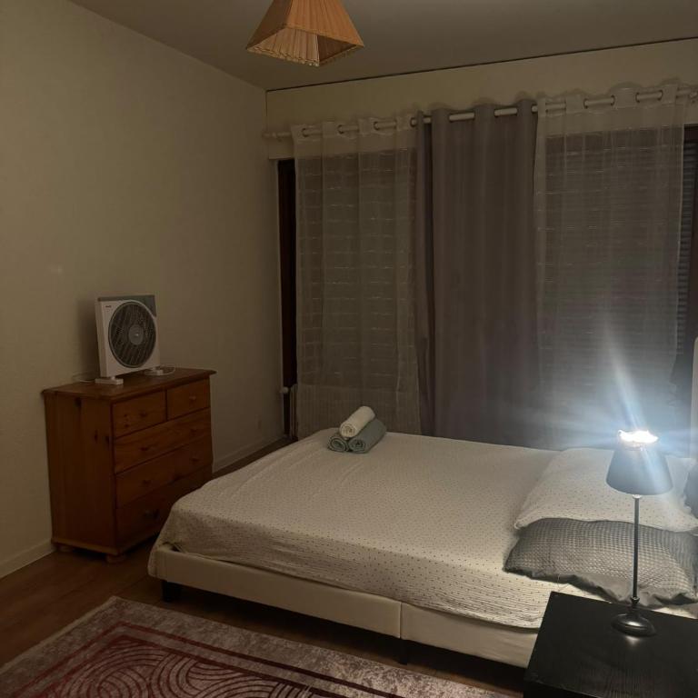 Appartement avec Terrasse & Parking Privé - Centre Thonon - Appartement 1 Chambre - 8