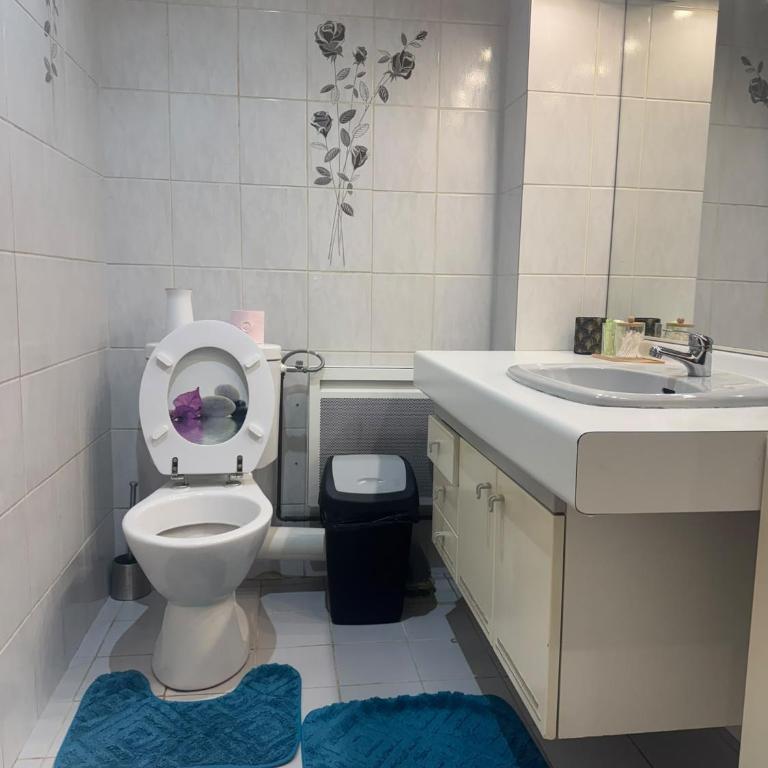 Appartement avec Terrasse & Parking Privé - Centre Thonon - Appartement 1 Chambre - 15