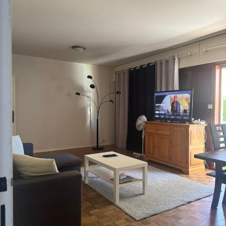 Appartement avec Terrasse & Parking Privé - Centre Thonon - Appartement 1 Chambre - 1