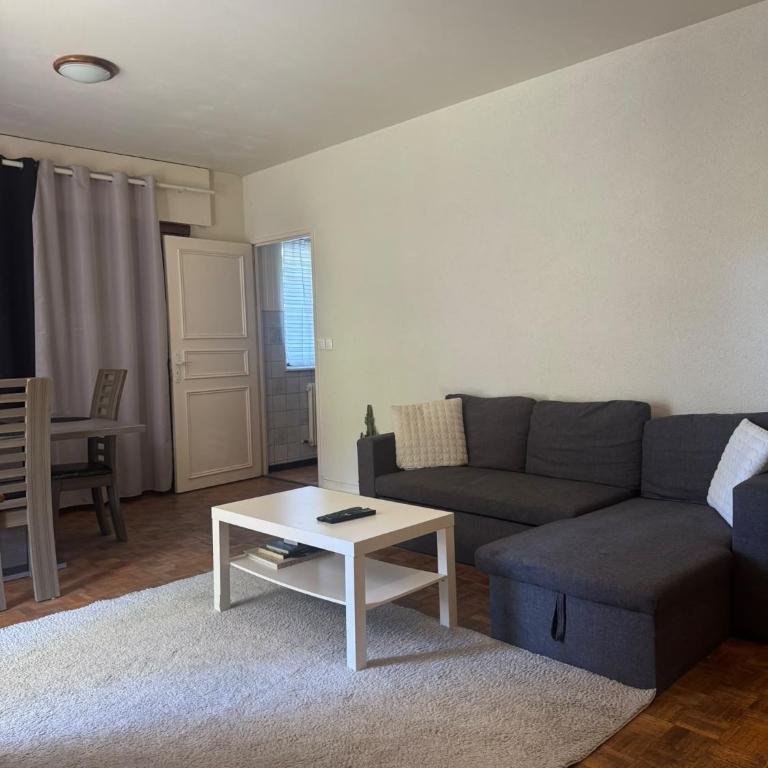 Appartement avec Terrasse & Parking Privé - Centre Thonon - Appartement 1 Chambre - 4