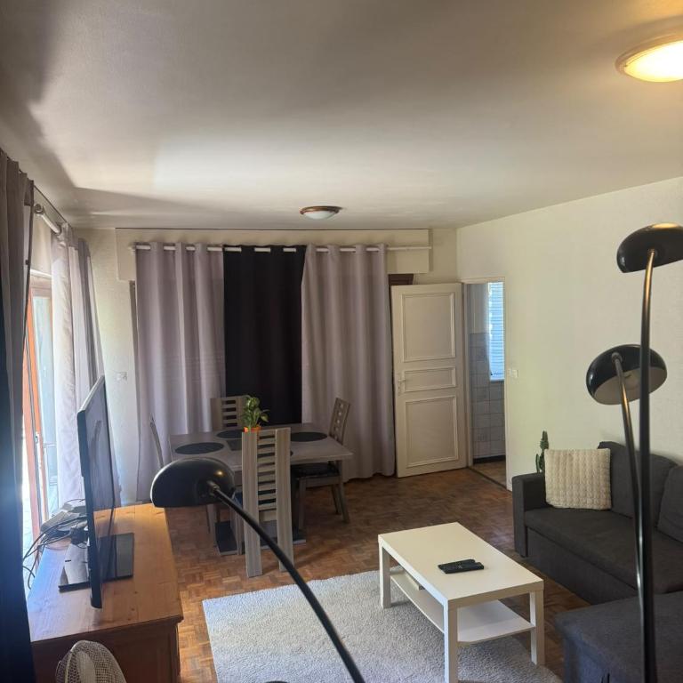 Appartement avec Terrasse & Parking Privé - Centre Thonon - Appartement 1 Chambre - 2