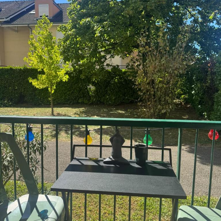 Appartement avec Terrasse & Parking Privé - Centre Thonon - Appartement 1 Chambre - 18