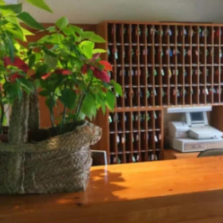 Studio right on the slopes in Baqueira Beret - One-Bedroom Apartment - 6