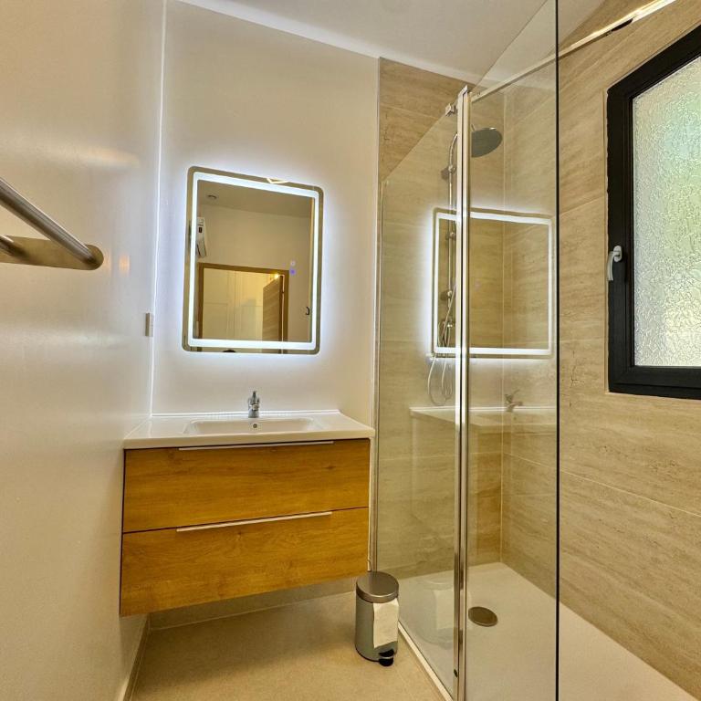 Mas des oliviers - One-Bedroom Apartment with Garden View - 6
