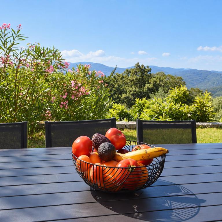 Villa provençale 4 chambres avec piscine, vue panoramique et pétanque - Maison 4 Chambres - 10