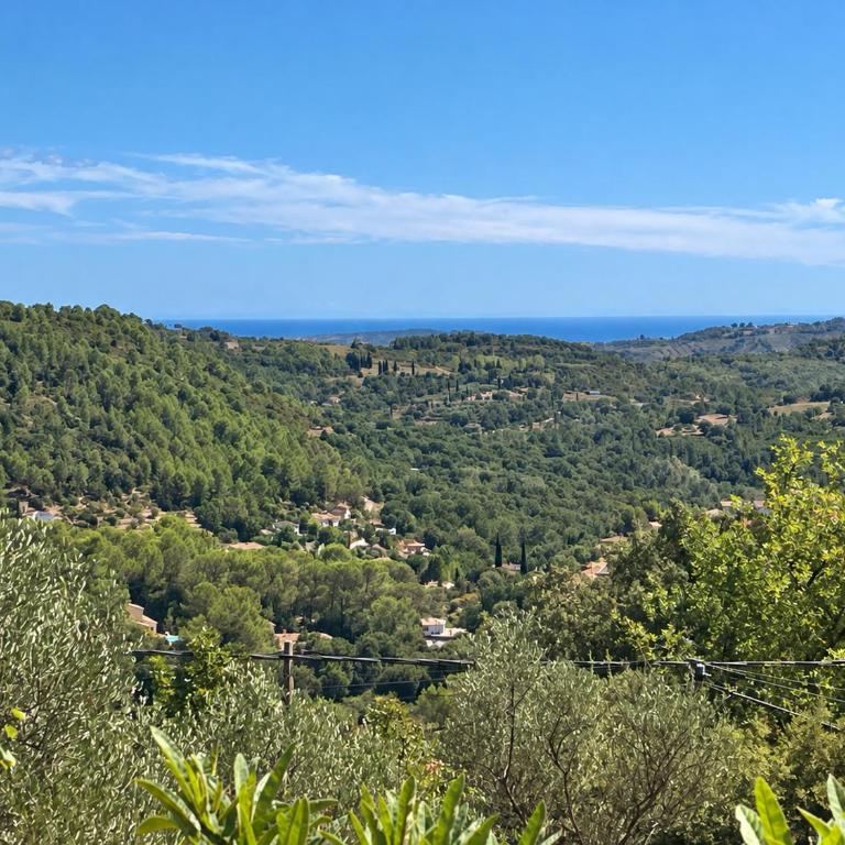 Villa provençale 4 chambres avec piscine, vue panoramique et pétanque - Maison 4 Chambres - 2