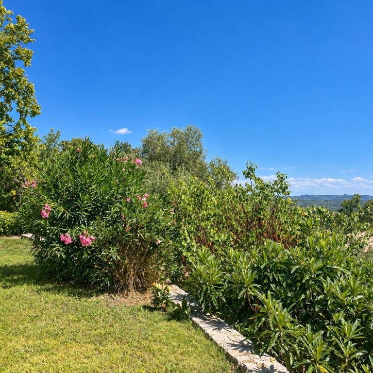 Villa provençale 4 chambres avec piscine, vue panoramique et pétanque - Maison 4 Chambres - 27
